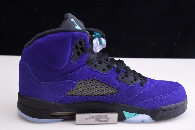 Reps TBkick Jordan Alternate 136027-500 Retro 5 Grape Air 0814